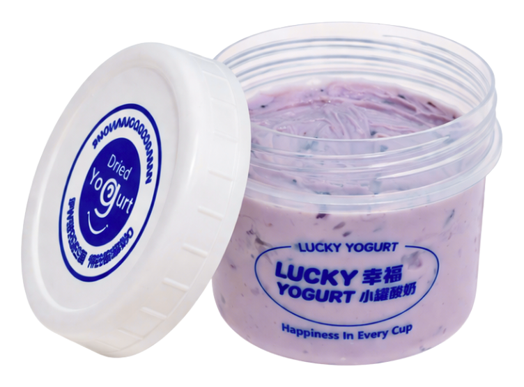 Blueberry Thick Yogurt