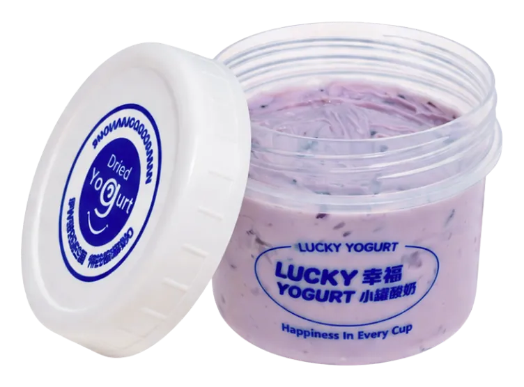 Blueberry Thick Yogurt